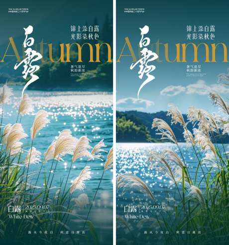 白露节气海报_源文件下载_CDR,AI格式_2000X4330像素-节气,美景,风景-作品编号:2025082609012694-志设