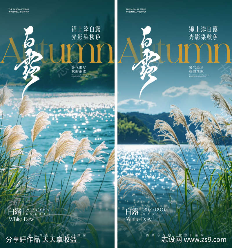 白露节气海报