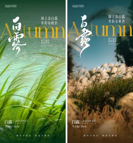 白露节气海报_源文件下载_CDR,AI格式_2000X4330像素-节气,风景,湖景-作品编号:2025082609092068-志设