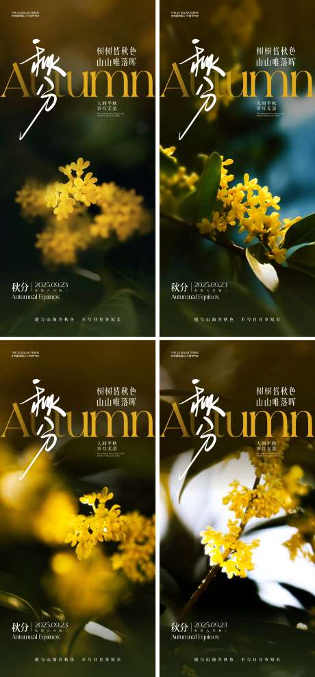 秋分节气海报_源文件下载_CDR,AI格式_2000X4330像素-节气,美景,桂花-作品编号:2025082609123615-志设