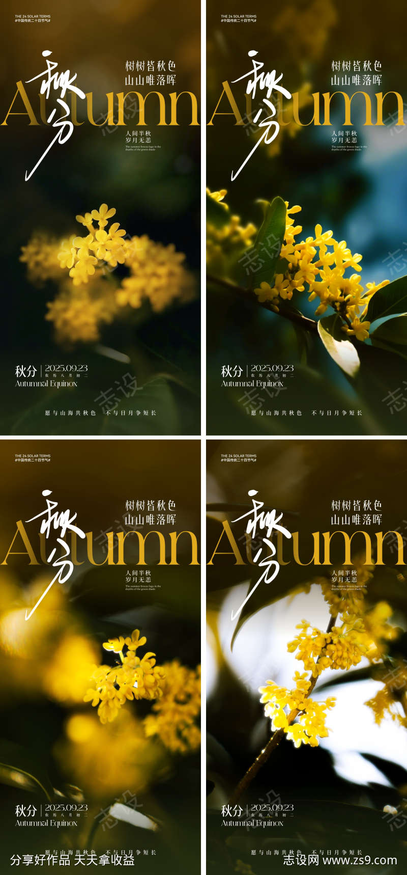 秋分节气海报