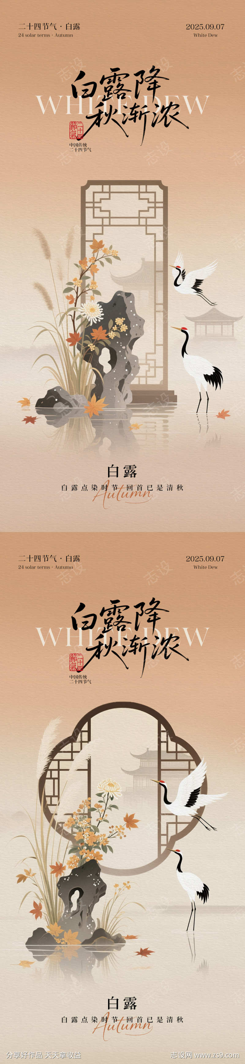 白露节气中式插画海报