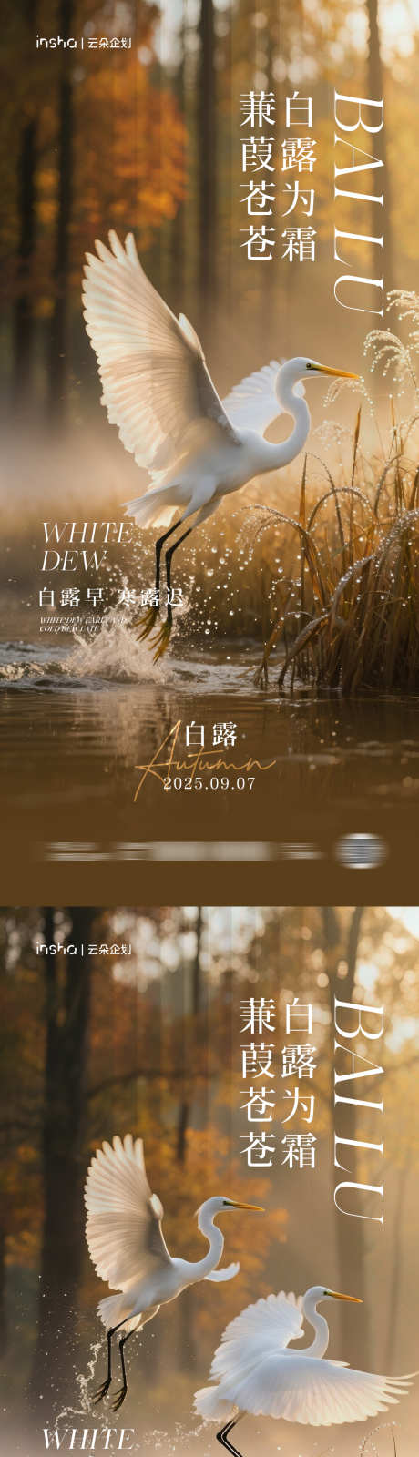 白露节气海报_源文件下载_PSD格式_1181X5112像素-森林,秋日,秋季-作品编号:2025082514167652-志设