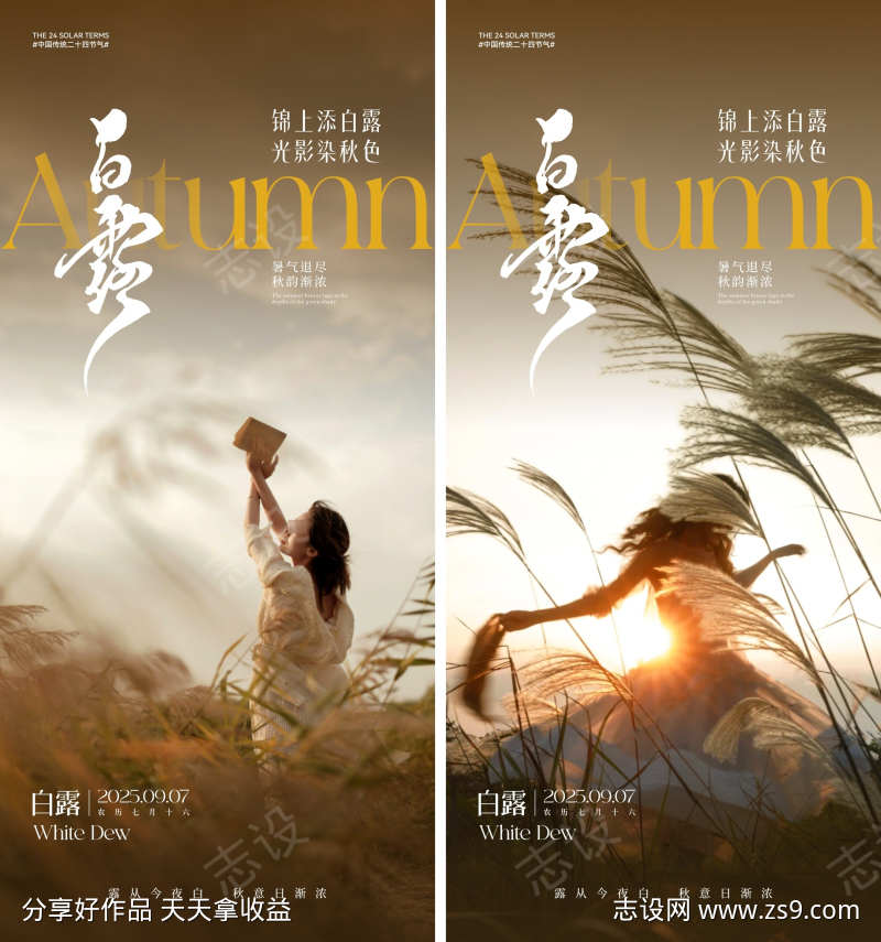 白露节气海报