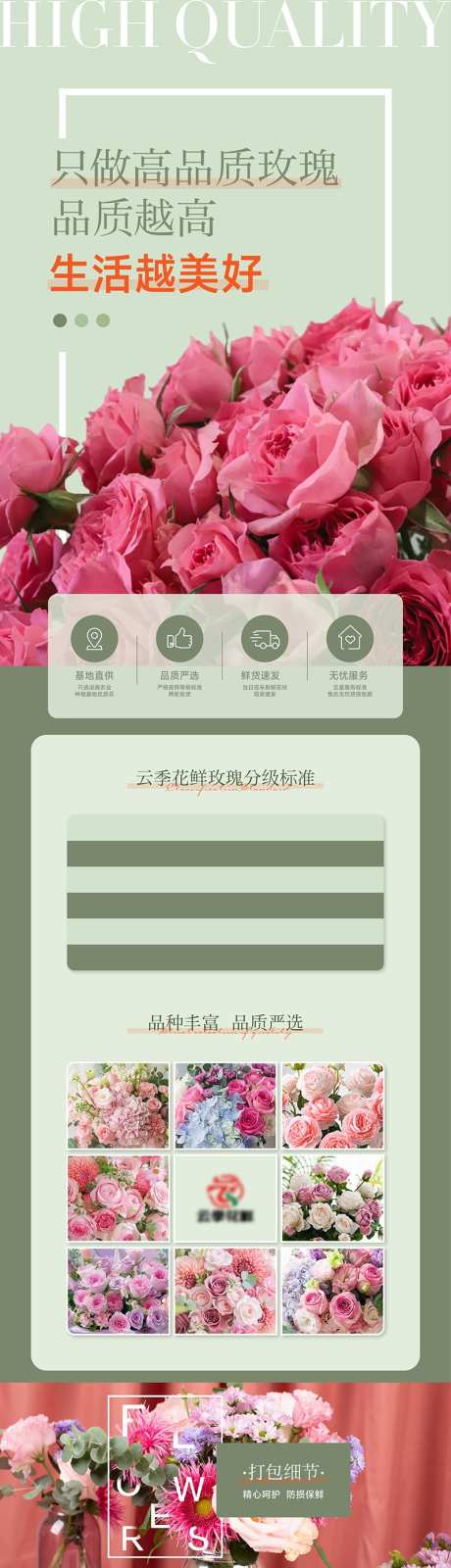 鲜花详情页长图_源文件下载_AI,PSD格式_800X9064像素-花朵,详情页,月季-作品编号:2025082609163527-志设