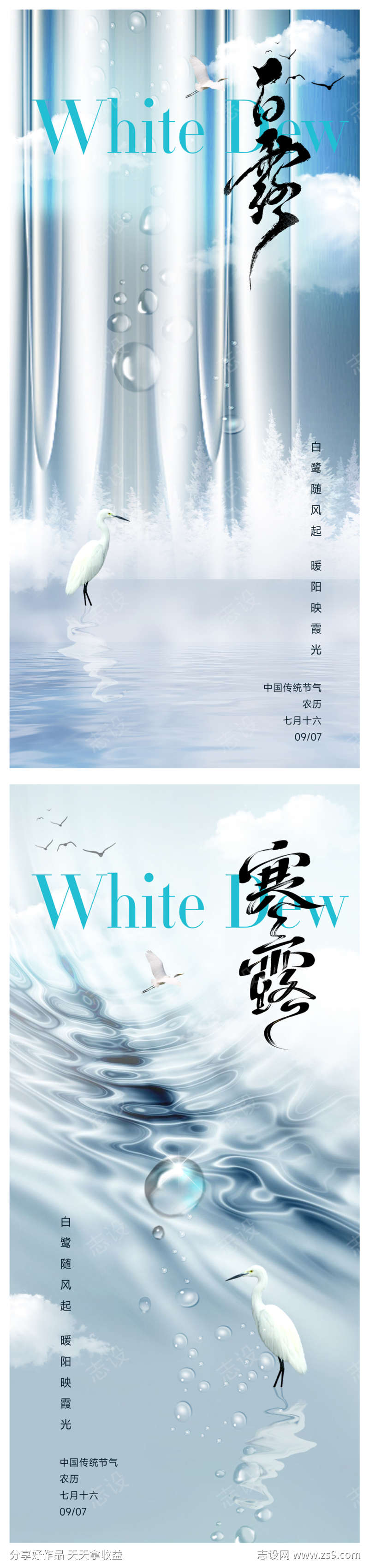 白露节气海报