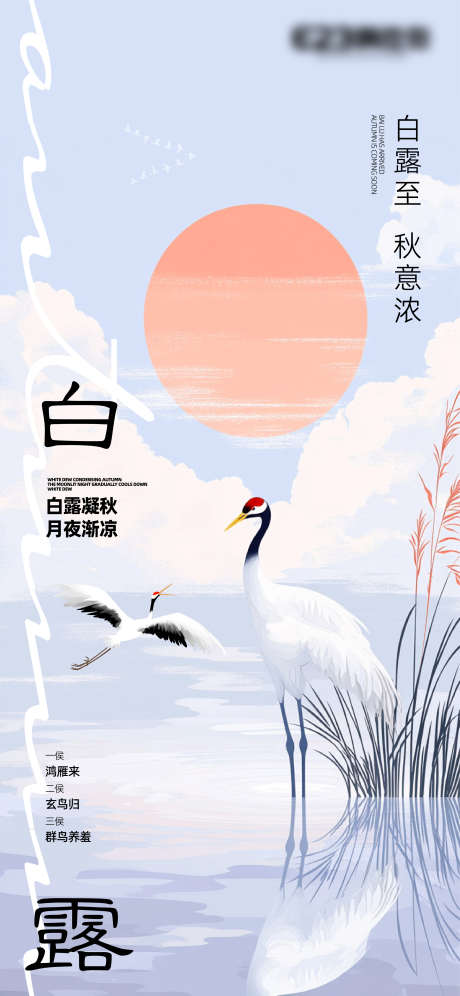 节气白露海报_源文件下载_AI格式_2344X5075像素-丹顶鹤,白露,节气-作品编号:2025082714396303-志设