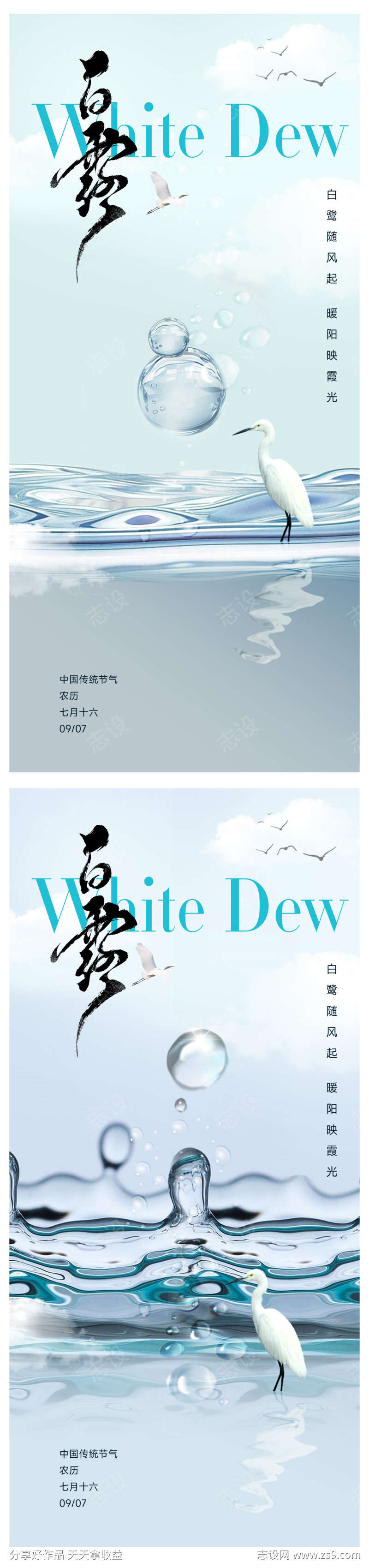 白露节气海报