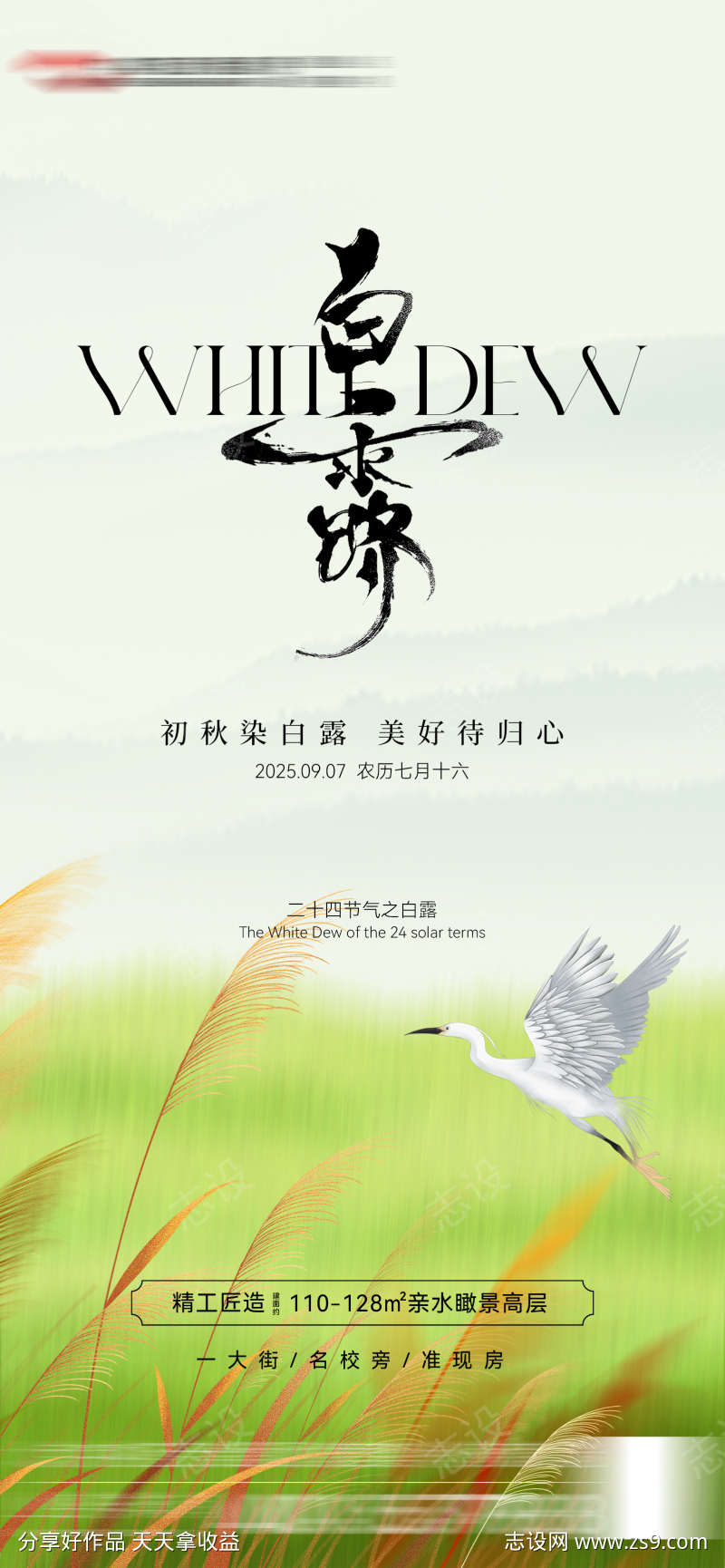 白露节气海报