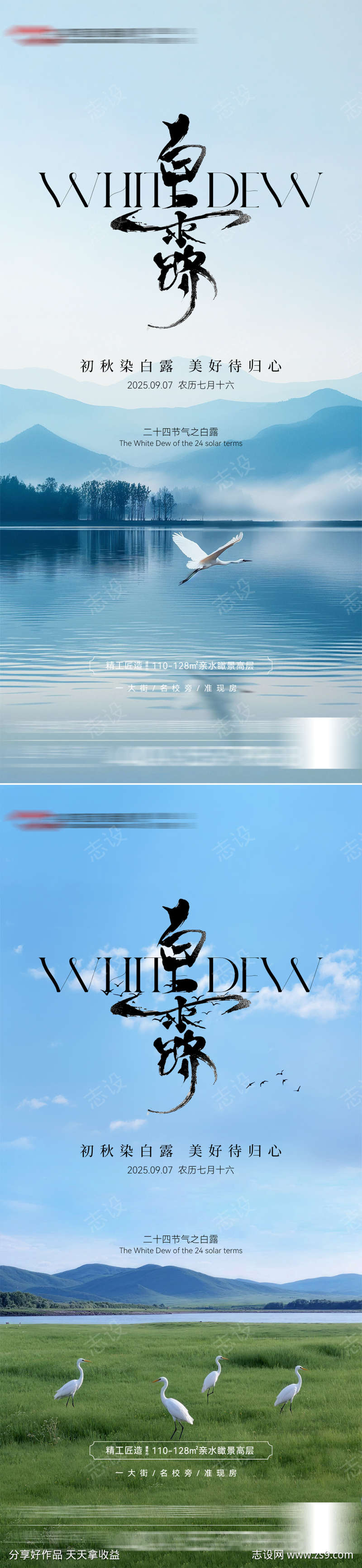 白露节气海报
