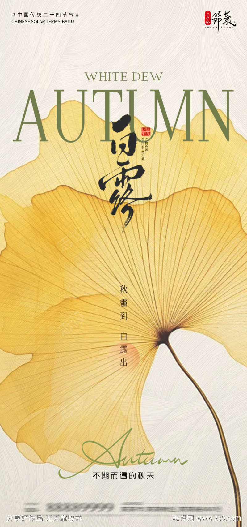 白露节气海报
