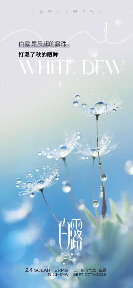 白露唯美露珠节气海报_源文件下载_PSD格式_1260X2720像素-露珠,唯美,简约-作品编号:2025082811551455-志.设˘网