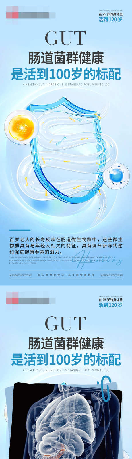 肠道益生菌海报_源文件下载_PSD格式_1242X5376像素-新陈代谢,产品,肠动力-作品编号:2025082909144656-志·设·网