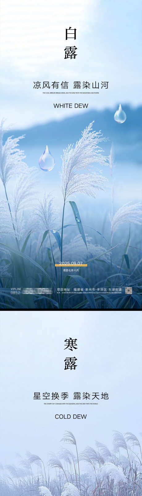 白露寒露海报_源文件下载_PSD格式_1231X5348像素-寒露,白露,中式-作品编号:2025082816358375-志设