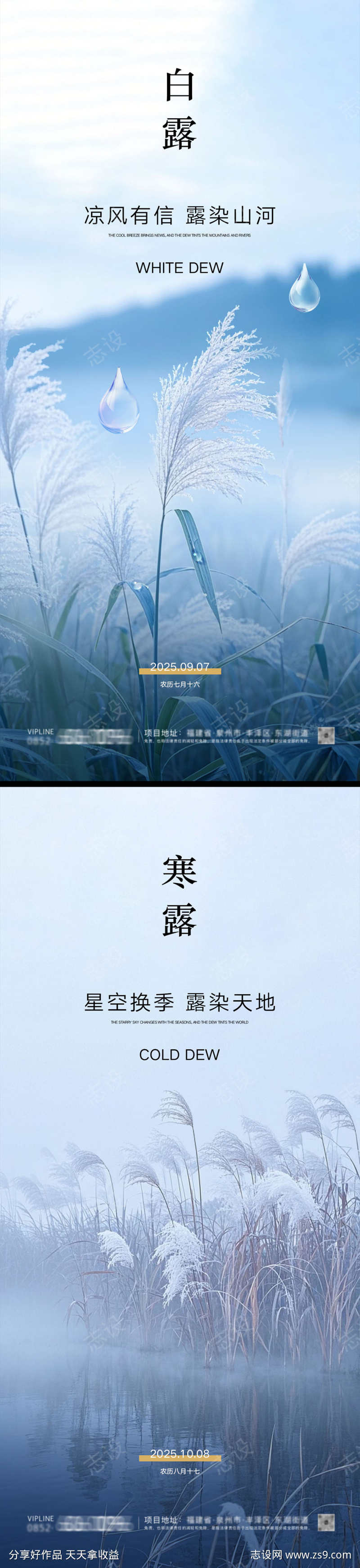 白露寒露海报