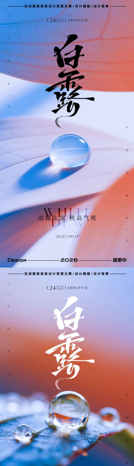 白露节气海报_源文件下载_PSD格式_900X3598像素-插画,简约,水滴-作品编号:2025082816557063-志设