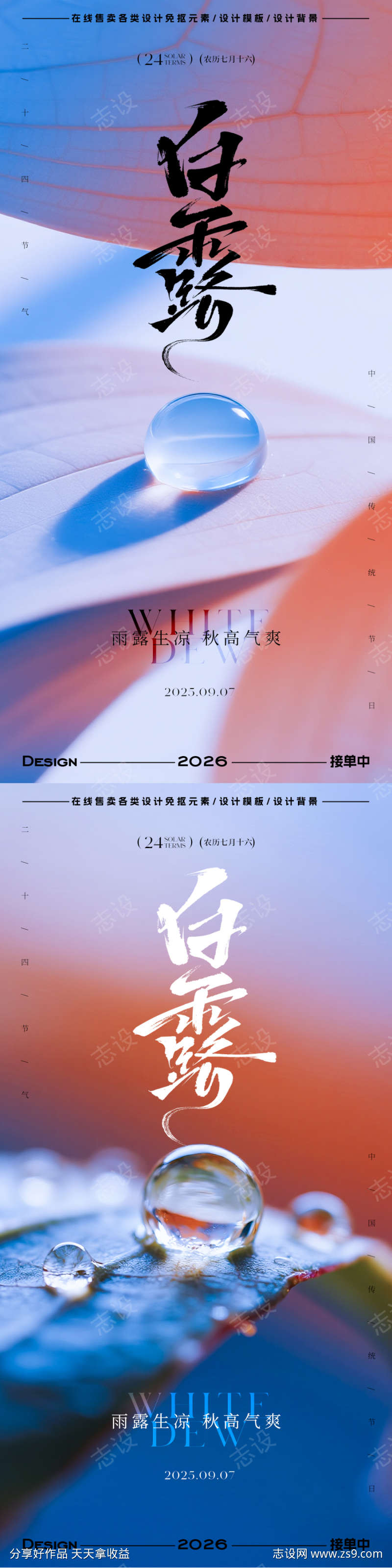 白露节气海报