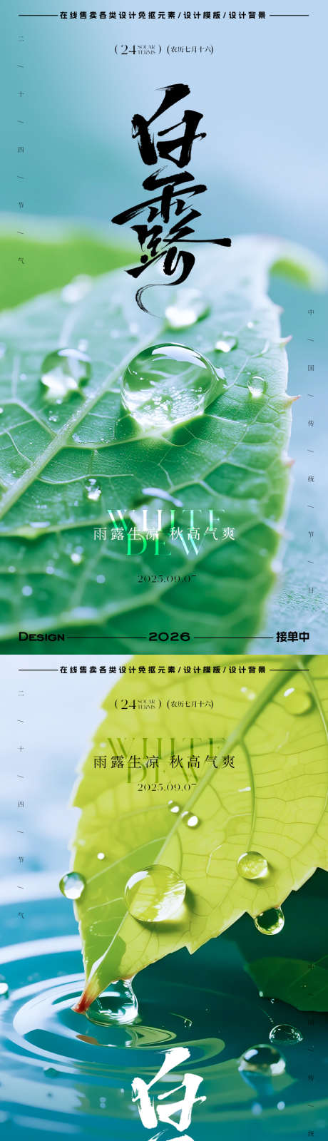 白露节气海报_源文件下载_PSD格式_900X3594像素-插画,简约,水滴-作品编号:2025082816591037-志设