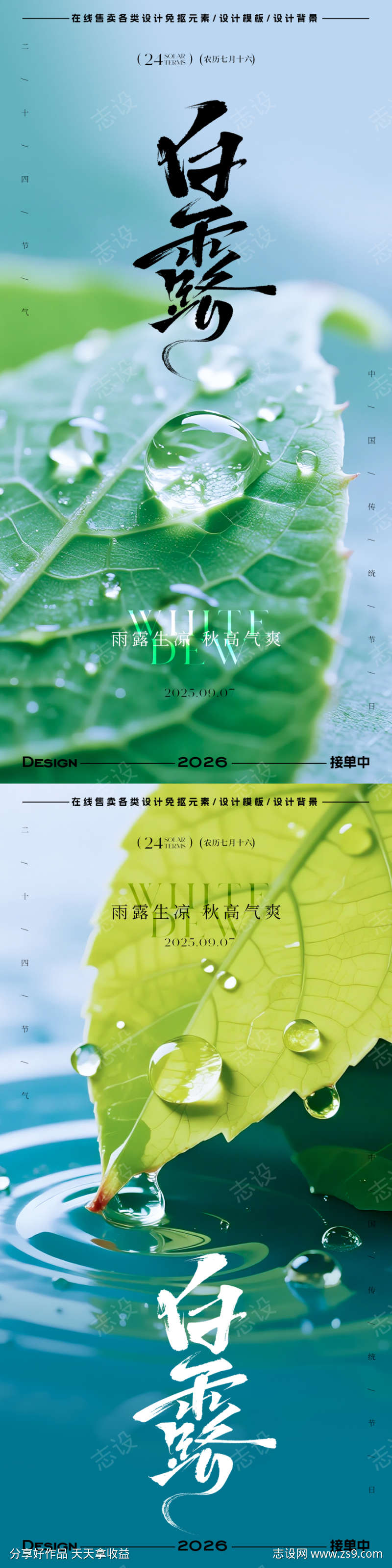 白露节气海报