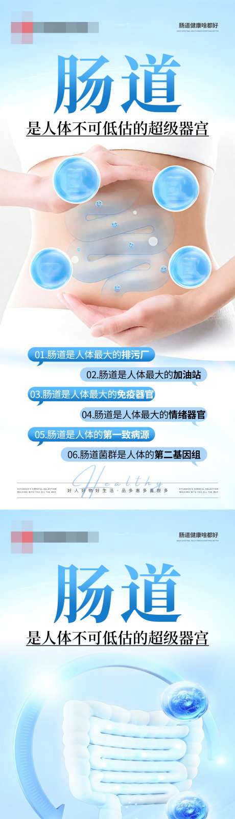 肠道器官健康海报_源文件下载_PSD格式_1242X5376像素-排污厂,肠道,益生菌-作品编号:2025082910374982-志ˌ设ˉ网