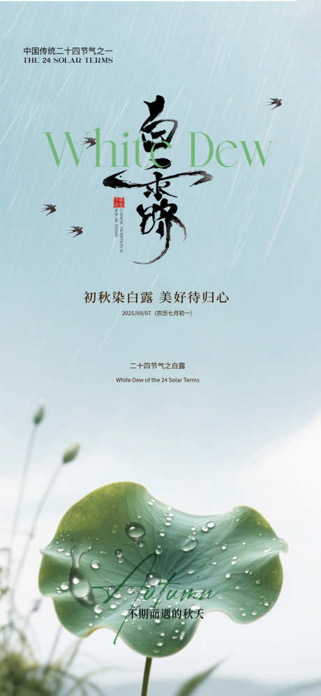 白露二十四节气海报_源文件下载_PSD格式_1125X2436像素-简约,白露,二十四节气-作品编号:2025082910436890-志设