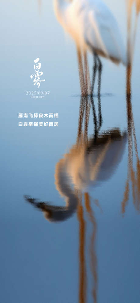白露二十四节气_源文件下载_AI,PSD格式_1125X2430像素-节气,高级,意境-作品编号:2025082911207908-志设