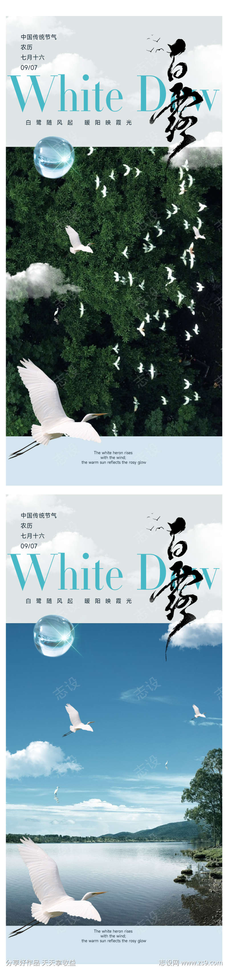 白露节气海报