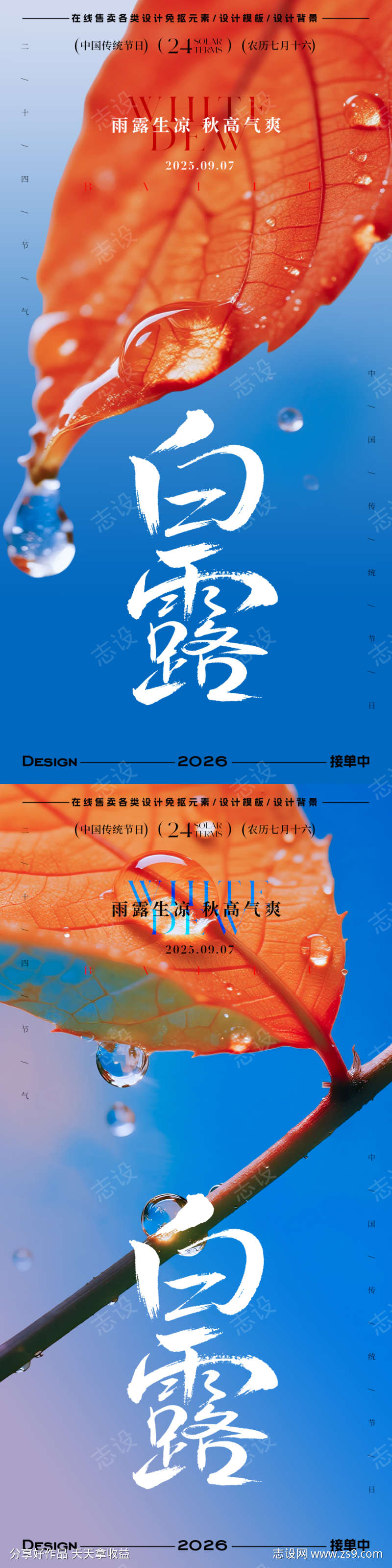 白露节气海报