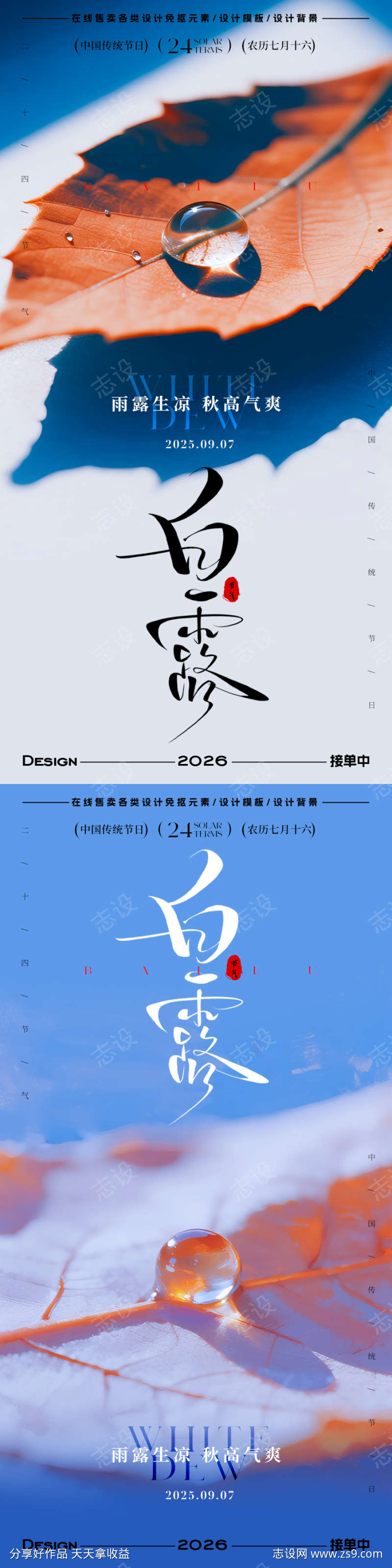 白露节气海报