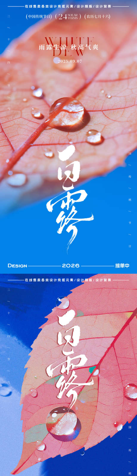 白露节气海报_源文件下载_PSD格式_900X3600像素-简约,插画,水珠-作品编号:2025083110085308-志‘设′网