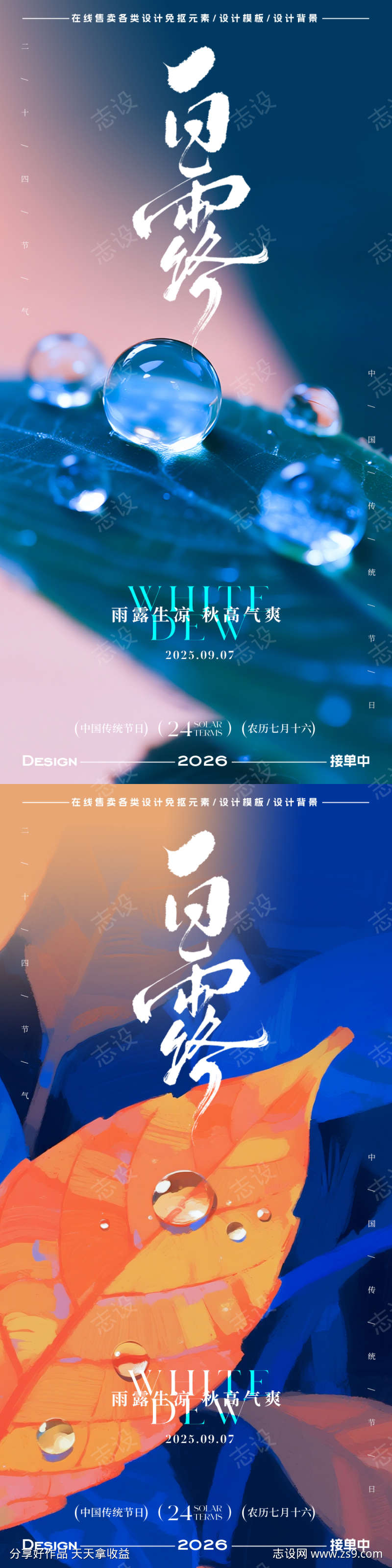 白露节气海报
