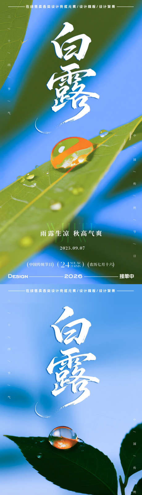 白露节气海报_源文件下载_PSD格式_900X3598像素-简约,插画,水珠-作品编号:2025083114474552-志设