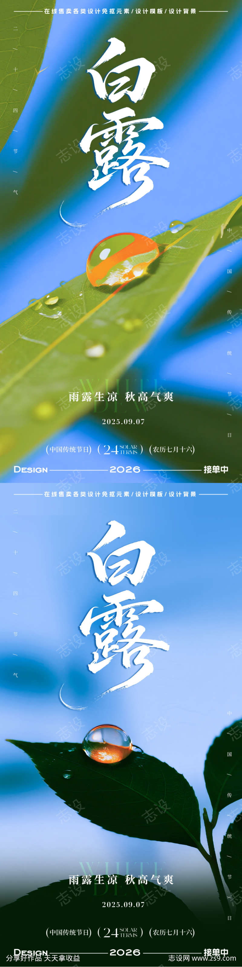 白露节气海报