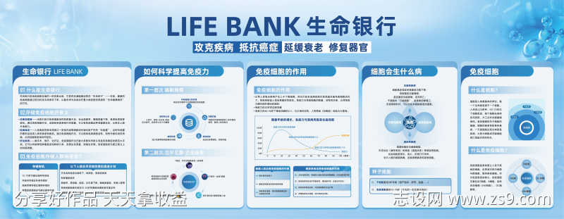 医学免疫细胞展板