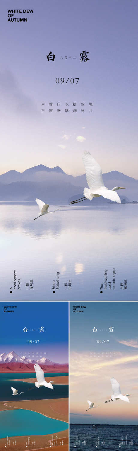 白露系列海报_源文件下载_PSD格式_750X1624像素-白鹭,湖泊,山水-作品编号:2025090108567370-志˘设`网