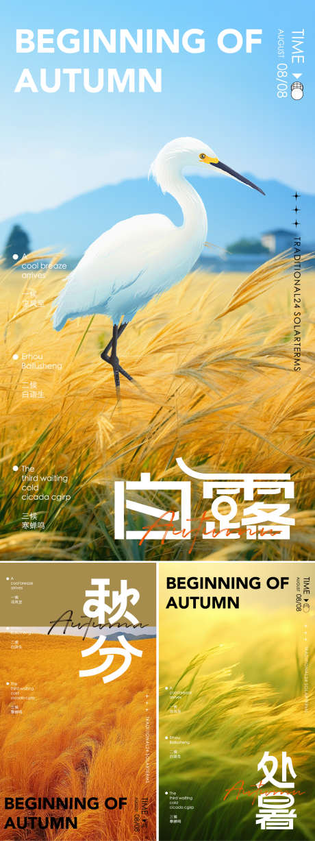秋天白露秋分处暑节气系列_源文件下载_AI,PSD格式_1562X4167像素-秋分,白露,秋天-作品编号:2025090108515705-志·设ʹ֣֤֚֫֗ׄ网