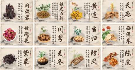 中医药材介绍_源文件下载_CDR格式_3125X1628像素-中医,介绍,药房-作品编号:2025083016403884-志˜设˯网