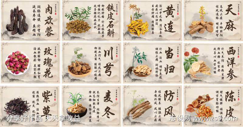 中医药材介绍