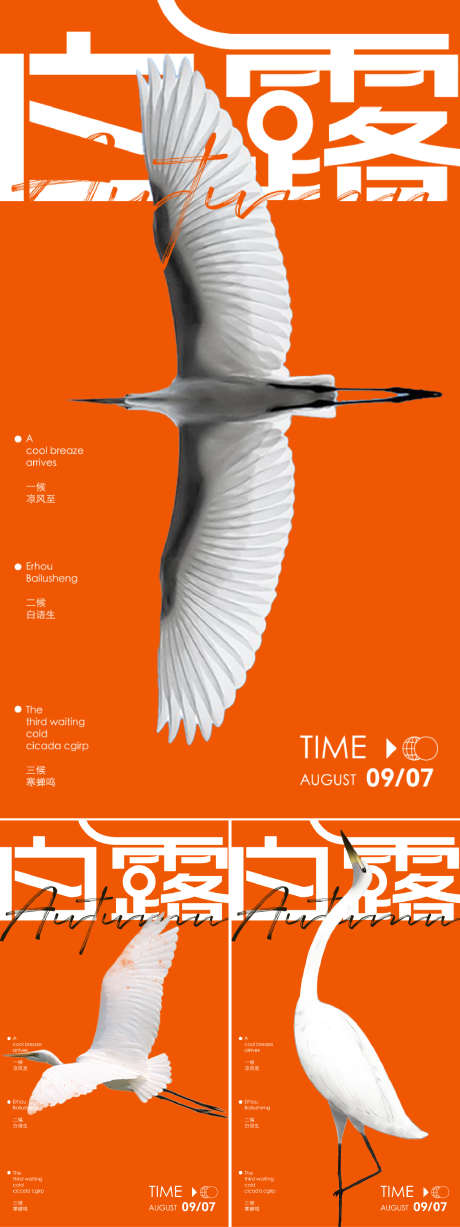 白露创意海报_源文件下载_PSD格式_1562X4167像素-简约,白露,秋天-作品编号:2025090108531922-志ʹ֣֤֚֫֗ׄ设˜网