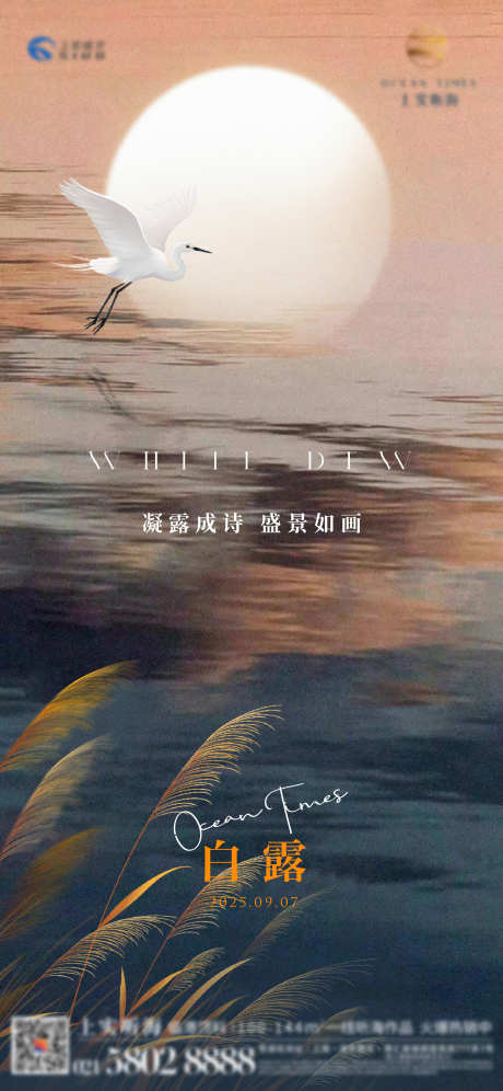 白露节气海报_源文件下载_AI,PSD格式_2248X4869像素-插画,芦苇,海报-作品编号:2025083117316268-志设