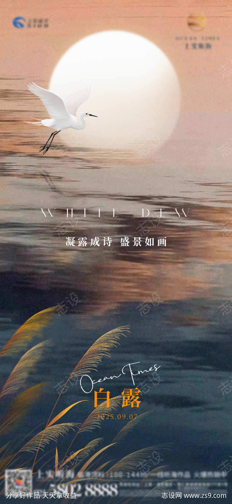 白露节气海报