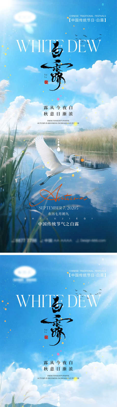 白露节气海报_源文件下载_PSD格式_1000X4340像素-白鹭,芦苇,入秋-作品编号:2025090111588269-志设