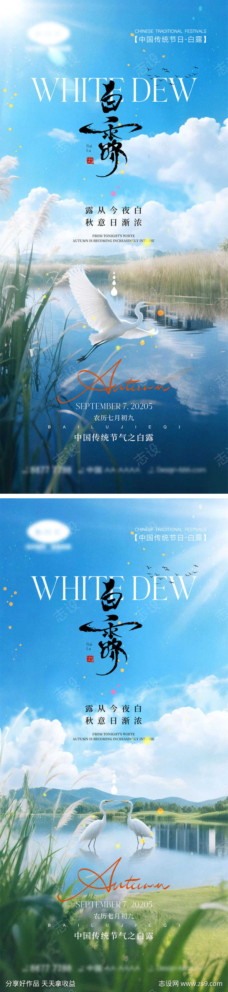 白露节气海报
