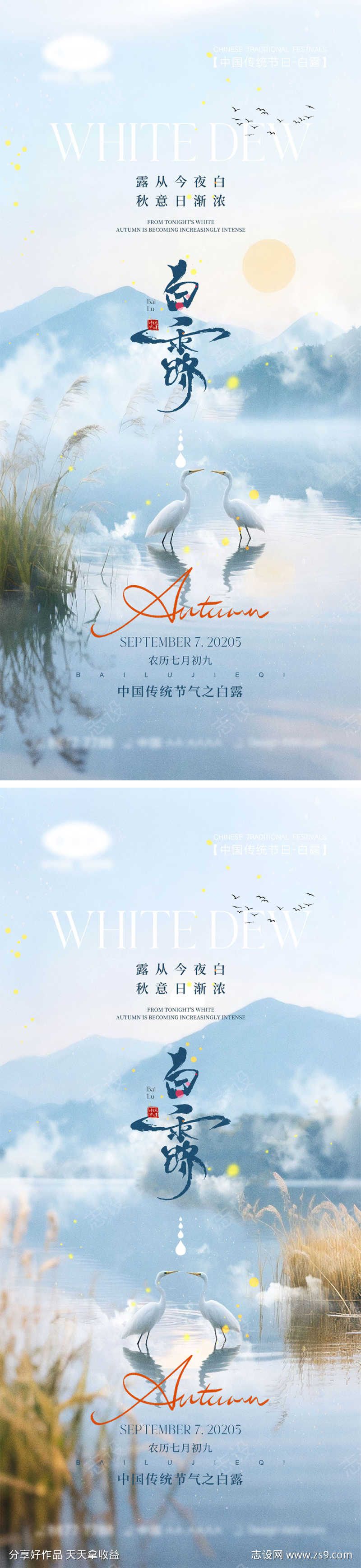 白露节气海报
