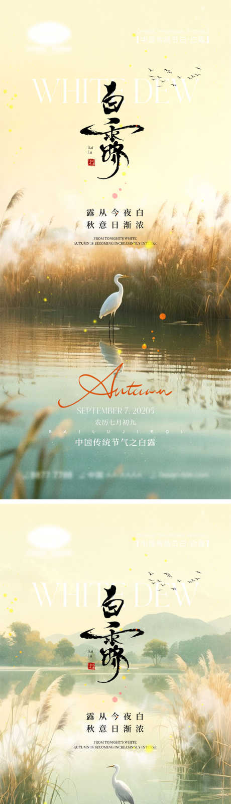 白露节气海报_源文件下载_PSD格式_1000X4340像素-白鹭,芦苇,入秋-作品编号:2025090112362081-志˱设ˉ网