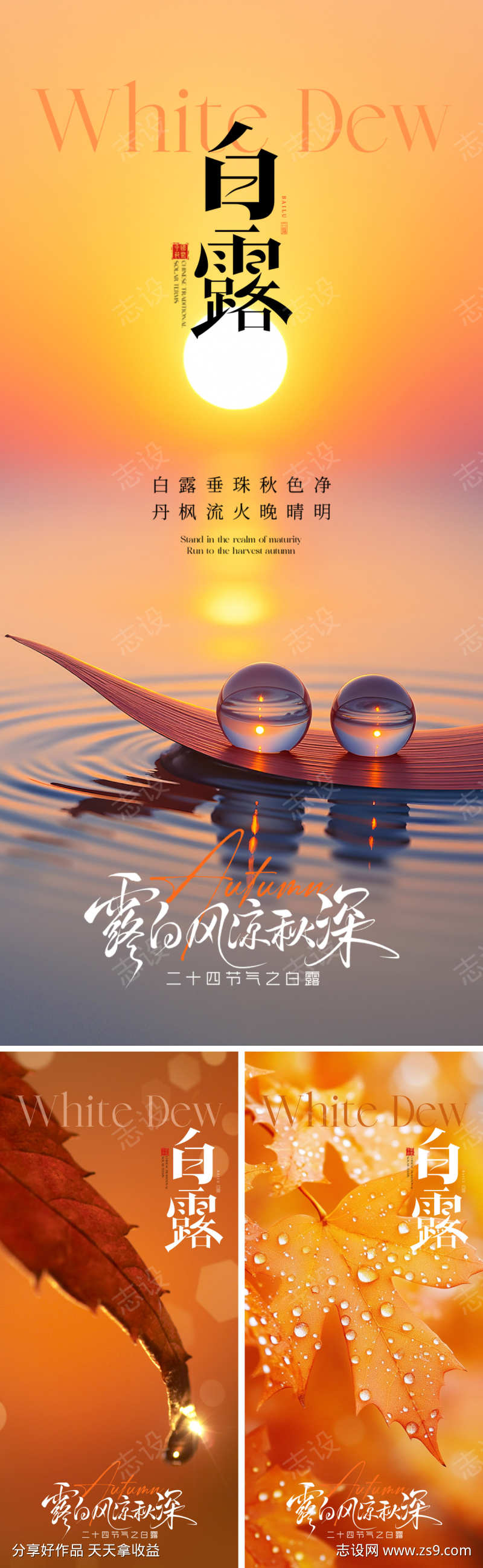 白露节气海报