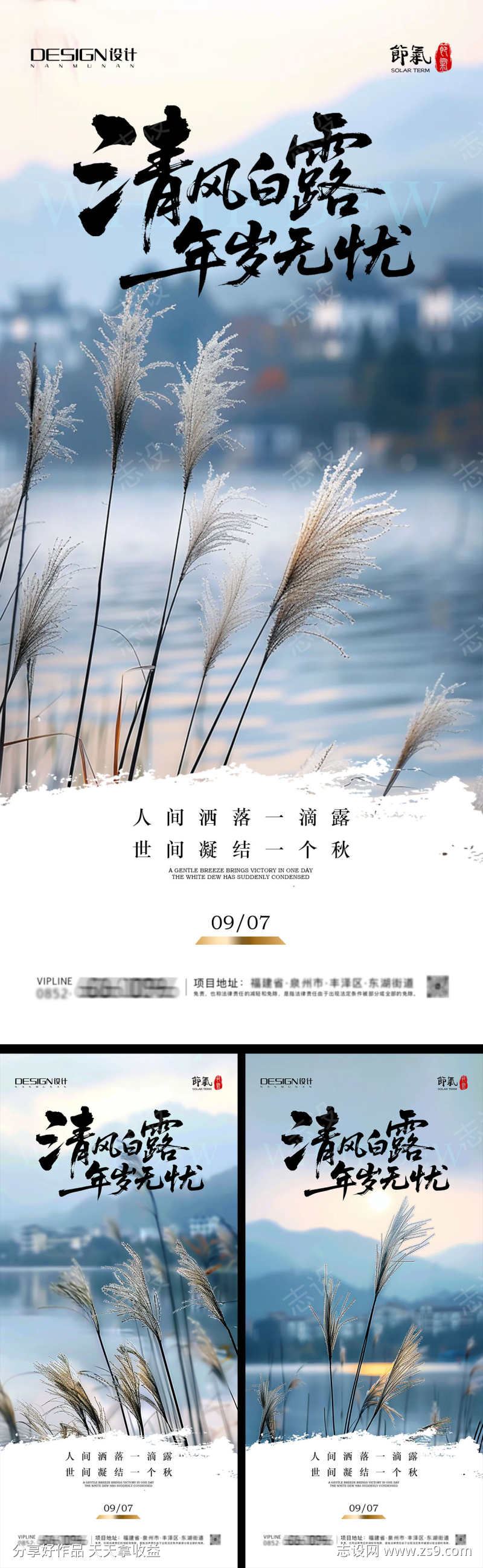白露节气海报