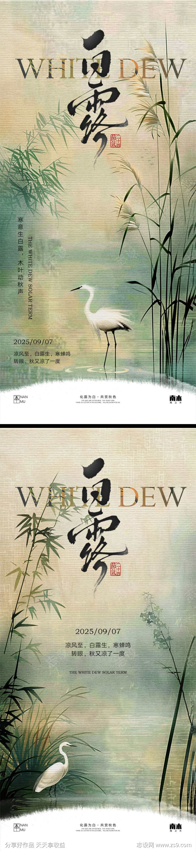 白露节气海报
