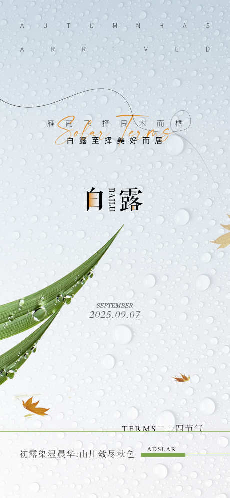 白露_源文件下载_PSD格式_3543X7670像素-二十四节气,白露,露珠-作品编号:2025083102534314-志,设‘网