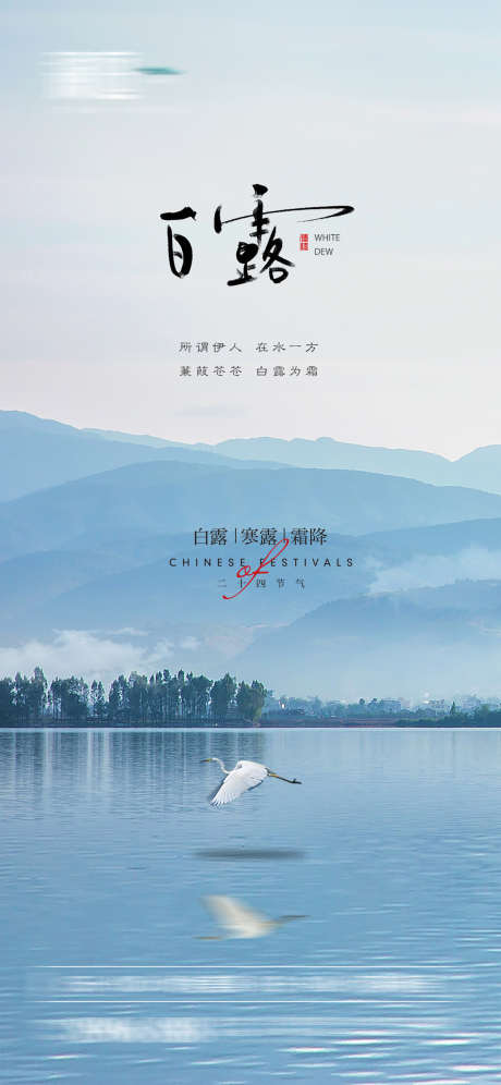 白露海报_源文件下载_PSD格式_1800X3897像素-白露,二十四节气,简约-作品编号:2025083102445055-志˱设`网